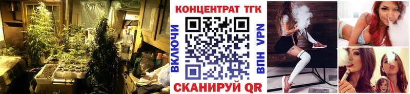 Купить где  Артём  Дистиллят ТГК концентрат 
